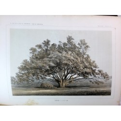 Reports of explorations